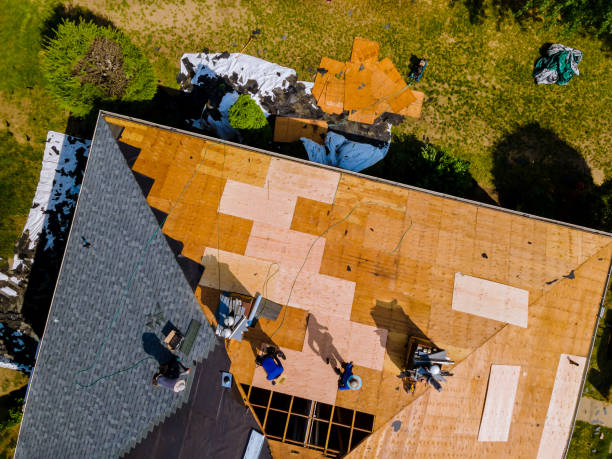 Best Roof Gutter Cleaning  in Allendale, NJ